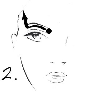 darphin 02