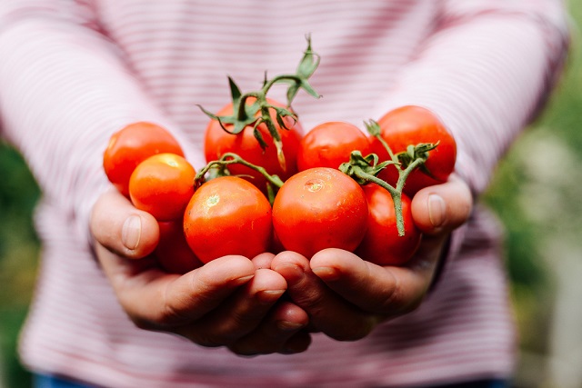bigstock Farmers Hands With Freshly Har 153787727