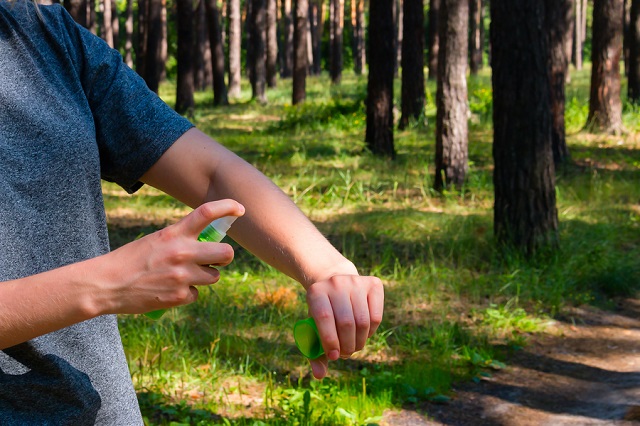bigstock Girl In The Forest Uses The Sp 141474257