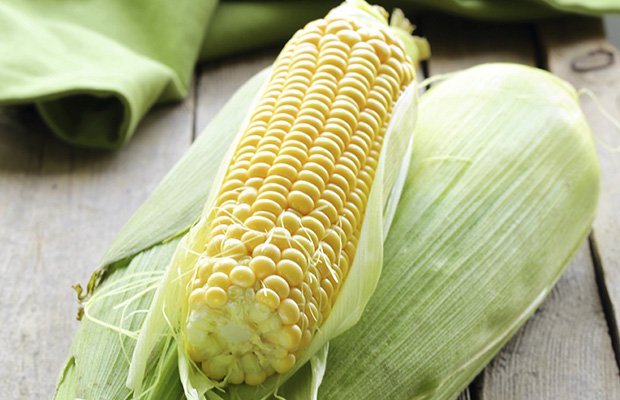 gettyimages 476199295 corncob olgakr 1