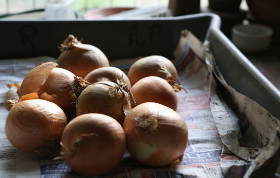 onions