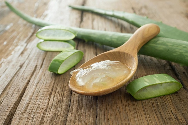 02 aloe Home Remedies for Canker Sores 301572848 MK photograp55 1024x682