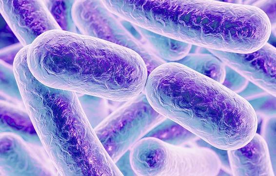 bacterial infection