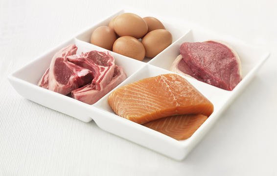proteini