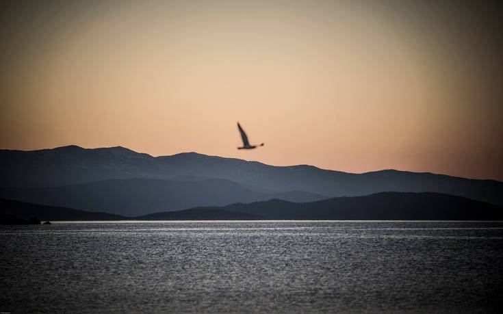 ΜΗΛΙΝΑ ΠΗΛΙΟΥ