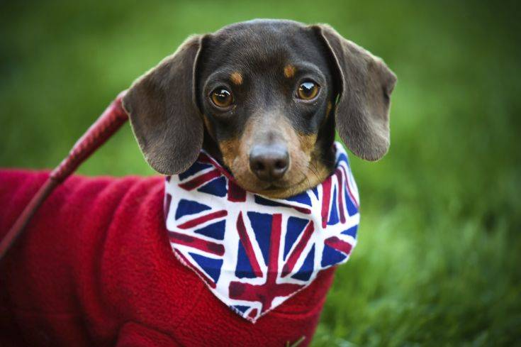 Britain Royal Wedding