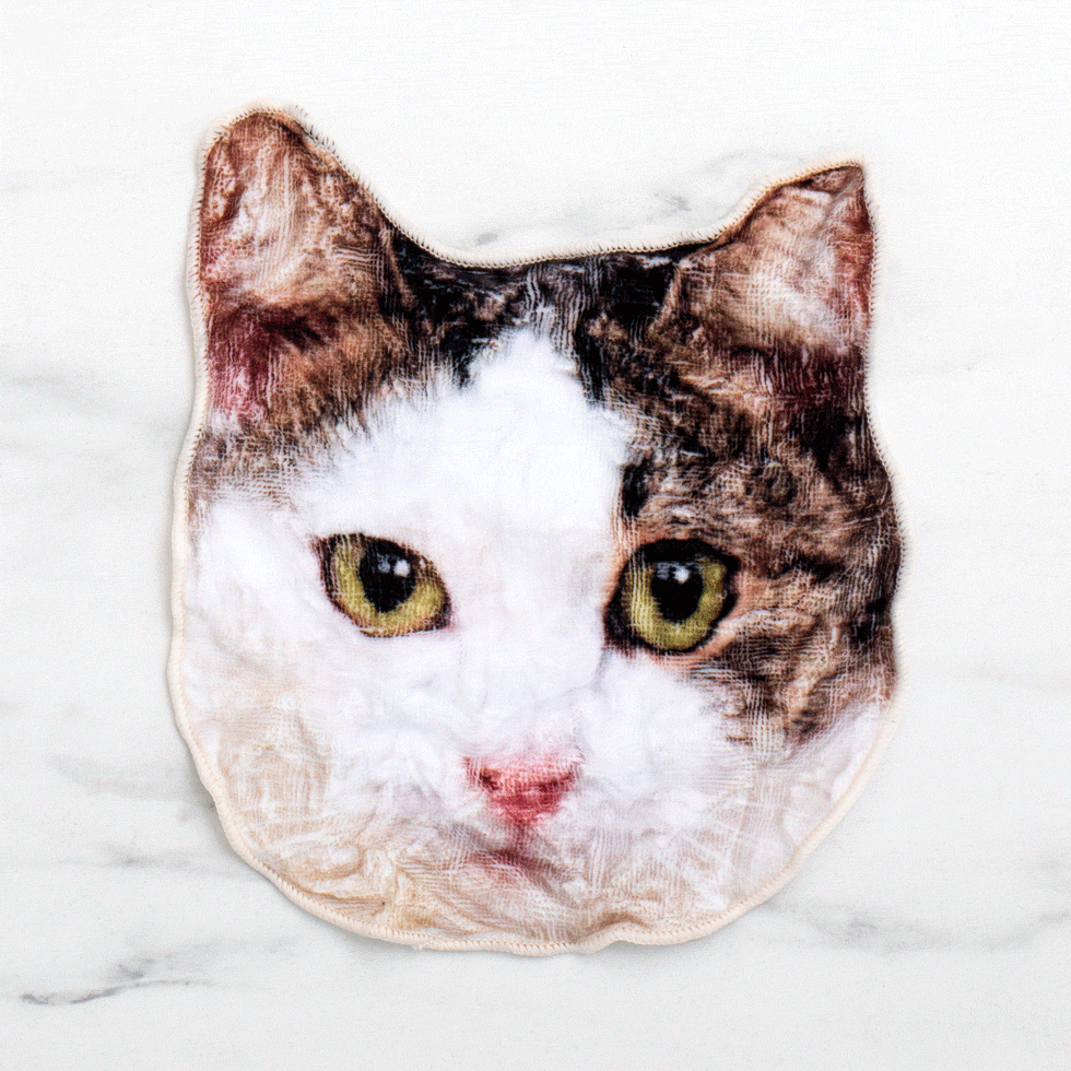 cat face towels 33044