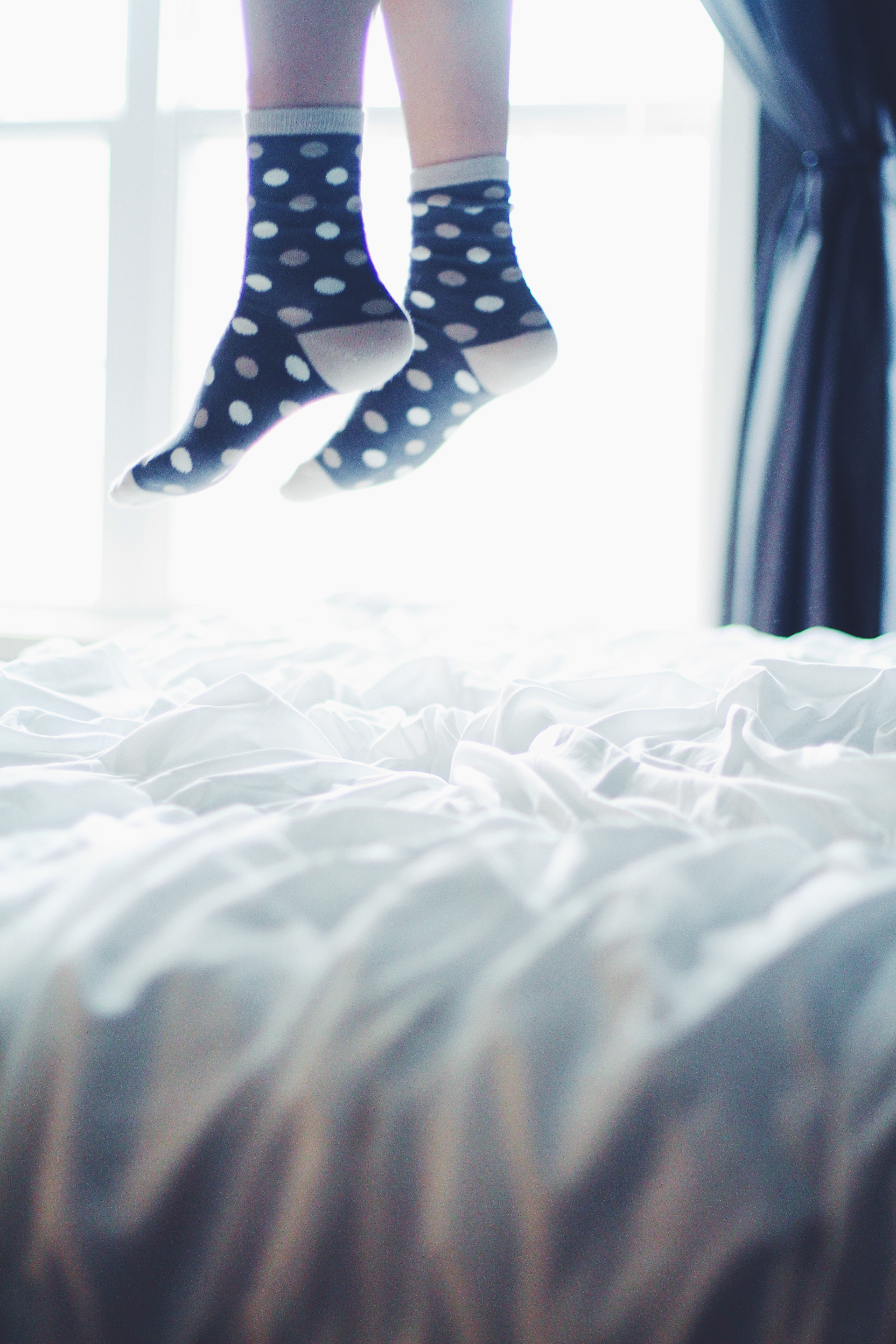 rafael lodos 498653 unsplash