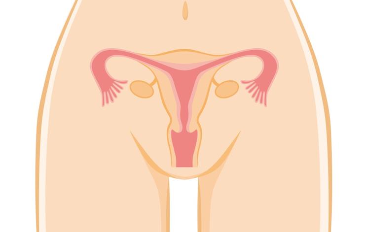 shutterstock 359456372 cervical stenosis toranosuke