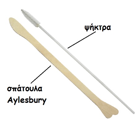 cytology