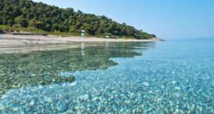 Ο δεκάλογος του λουόμενου, τι κάνουμε όταν η θάλασσα πρασινίζει ή ιριδίζει