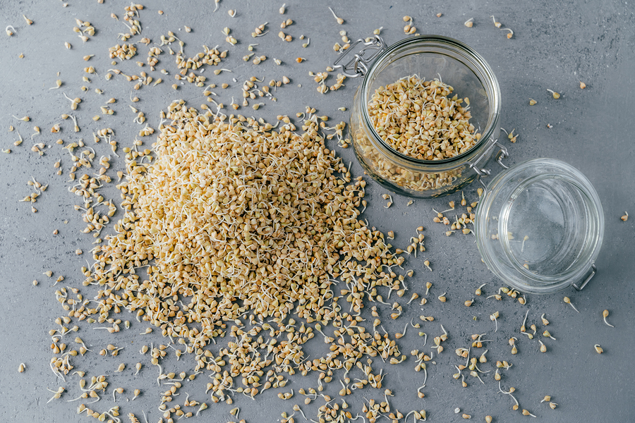 bigstock Pile Of Buckwheat Sprouts In G 298407679