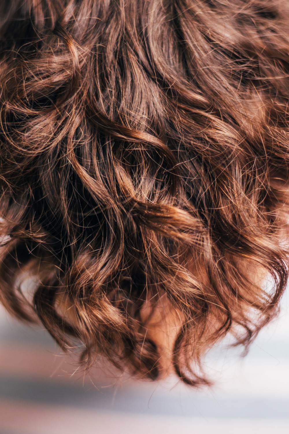 paul siewert dnpa8k6TGRE unsplash