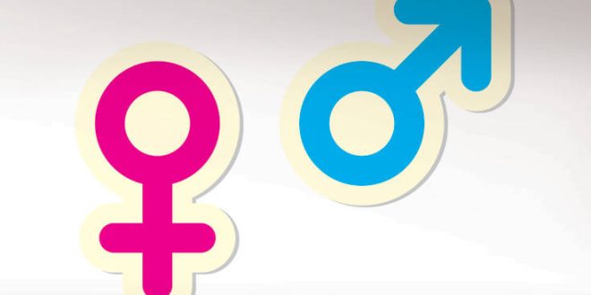 Ανοίγει ο δρόμος για την επιλογή φύλου στην εξωσωματική