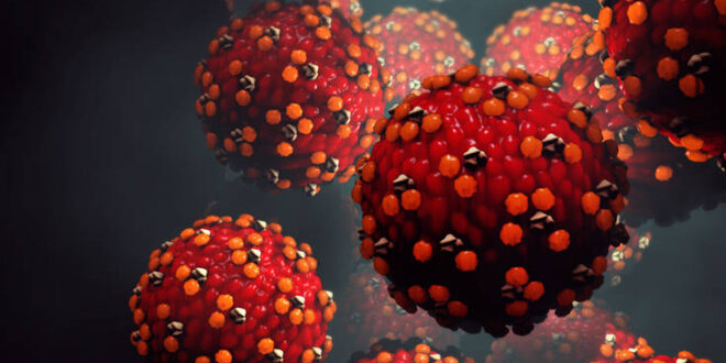 Η ιλαρά «σβήνει τη μνήμη» του ανοσοποιητικού μας συστήματος