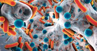 Ισχυρό αντιβιοτικό εξοντώνει ανθεκτικά μικρόβια
