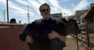 Joaquin Phoenix: Μετά τα Όσκαρ, σώζει αγελάδες από σφαγείο