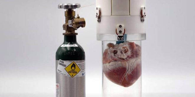 Αυτή η συσκευή θα κρατά ζωντανές τις καρδιές για μεταμόσχευση ακόμα και για 24 ώρες