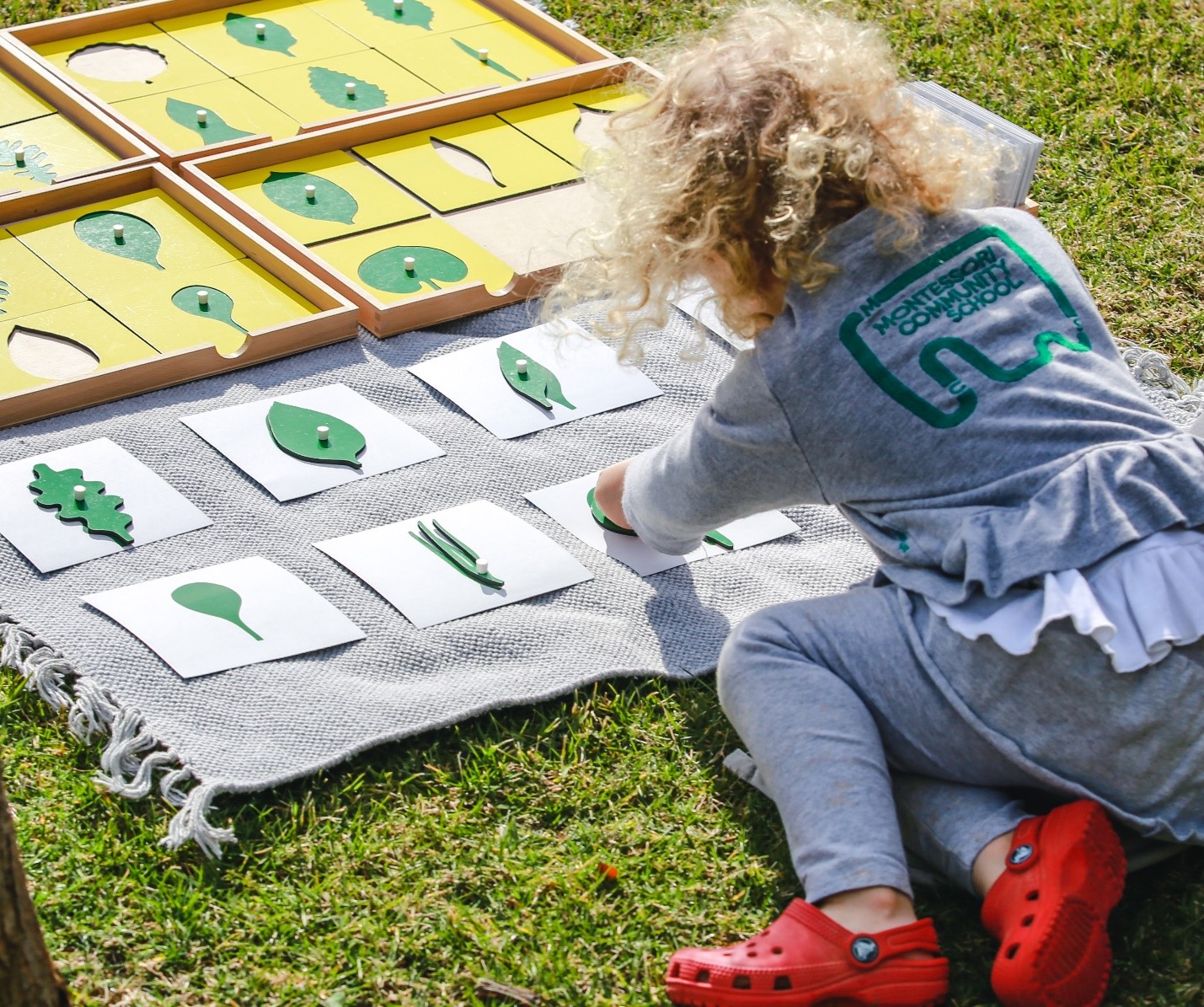 Montessori Community School 1