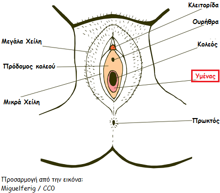 aidoio3