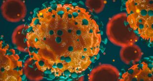 Κορονοϊός: «Ο ιός ήρθε για να μείνει» - «Πρώτα ένα κοκτέιλ φαρμάκων και εμβόλιο το 2021»