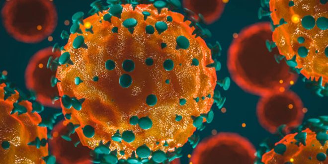 Κορονοϊός: «Ο ιός ήρθε για να μείνει» - «Πρώτα ένα κοκτέιλ φαρμάκων και εμβόλιο το 2021»