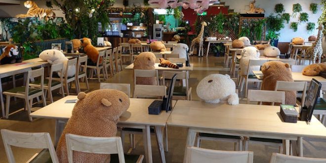 Εστιατόριο στην Ιαπωνία «προσέλαβε» λούτρινα για να τηρηθούν οι αποστάσεις στα τραπέζια