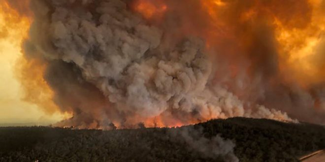 Ο καπνός από τις φωτιές στην Αυστραλία στοίχισε εκατοντάδες ανθρώπινες ζωές