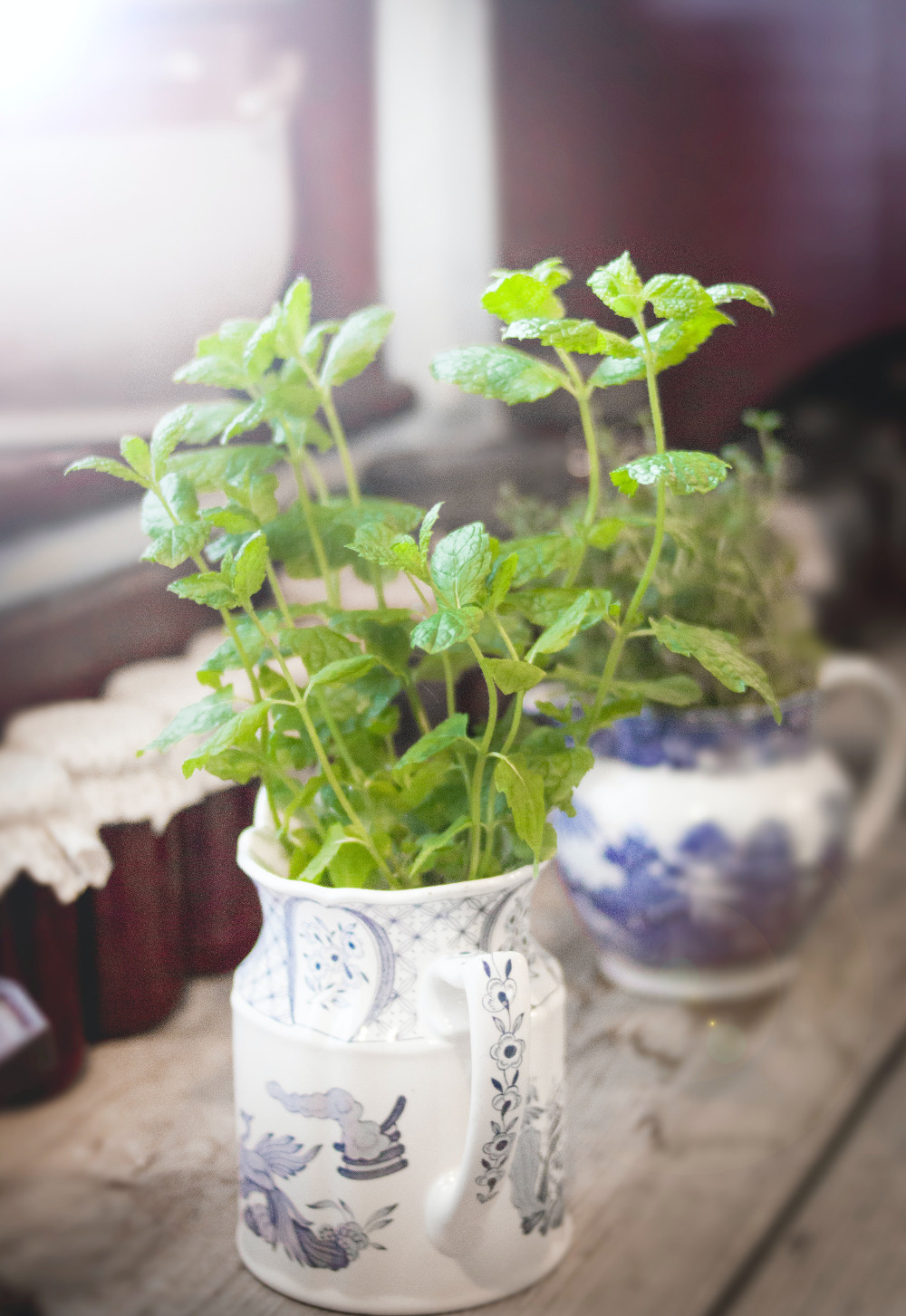 menta