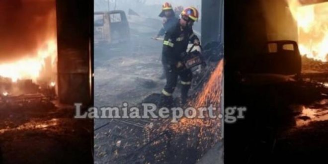 Ολονύχτια μάχη με τις φλόγες στη δυτική Φθιώτιδα - Κινδύνευσαν πυροσβέστες
