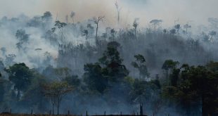 Ο υψηλότερος αριθμός πυρκαγιών τα τελευταία 13 χρόνια καταγράφηκε τον Ιούνιο στον Αμαζόνιο