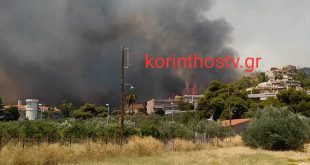 Νέες εικόνες από τη φωτιά στις Κεχριές: Δυνατοί άνεμοι και μαύροι καπνοί κοντά σε σπίτια