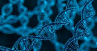 Η «κληρονομιά» των Νεάτερνταλ στο DNA και ο αυξημένος κίνδυνος για Covid-19