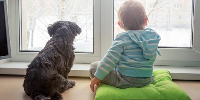 Τα οφέλη για τα παιδιά που μεγαλώνουν με σκύλους