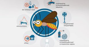 Μεγάλη προσοχή με τα κουνούπια: Οδηγίες προφύλαξης από τον ΕΟΔΥ - Τι να κάνουμε σε σπίτι και εργασία