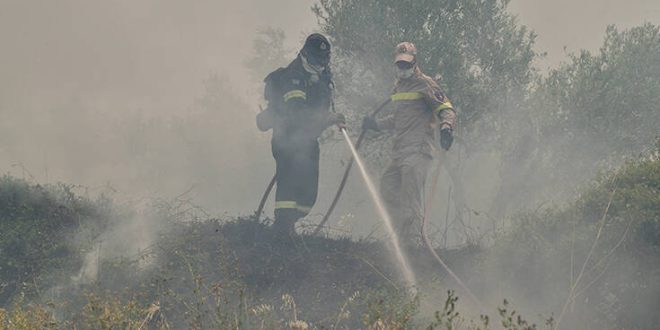 Αναζωπυρώθηκε η φωτιά στα Χανιά - Ισχυροί άνεμοι στην περιοχή