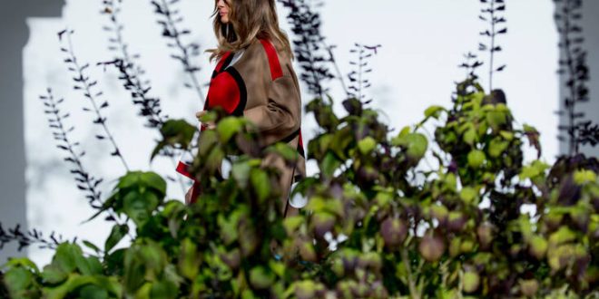 Η Μελάνια Τραμπ «Μαρία Αντουανέτα» και το «θλιβερό και αδιάφορο γκαζόν» στον Κήπο των Ρόδων
