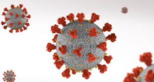 Πόσους έχει σκοτώσει ο κορονοϊός σε σχέση με άλλους θανατηφόρους ιούς - Τα νούμερα που ζαλίζουν