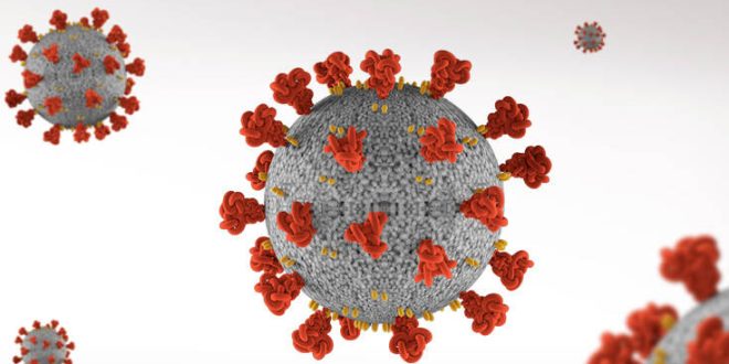 Πόσους έχει σκοτώσει ο κορονοϊός σε σχέση με άλλους θανατηφόρους ιούς - Τα νούμερα που ζαλίζουν