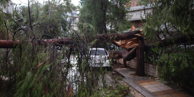 Σε ποιες περιοχές της Αττικής διακόπηκε η κυκλοφορία λόγω πτώσης δέντρων - «Μας βρήκε δύσκολη ημέρα» αναφέρει ο δήμαρχος Ηρακλείου