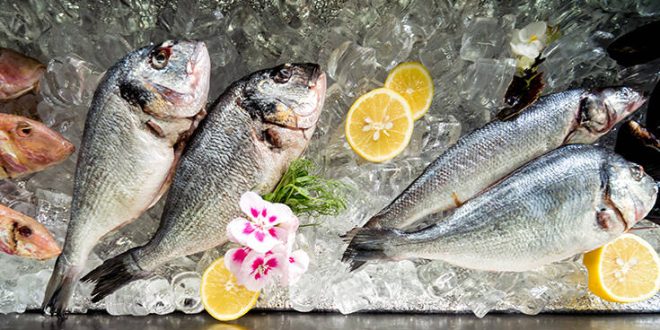 Ειδικό σήμα θα ενημερώνει τους καταναλωτές για τους ελέγχους και την προέλευση των αλιευμάτων