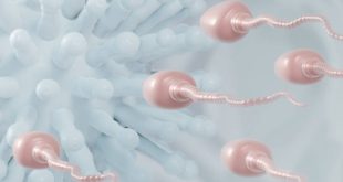 Επιστήμονες συλλέγουν σπέρμα από ασθενείς με κορονοϊό - Εξετάζονται πιθανές επιπτώσεις σε απογόνους