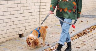 Νέα έρευνα: Πόσο επικίνδυνο είναι να κολλήσεις κορονοϊό αν πας βόλτα τον σκύλο ή παραγγέλνεις delivery από το σούπερ μάρκετ