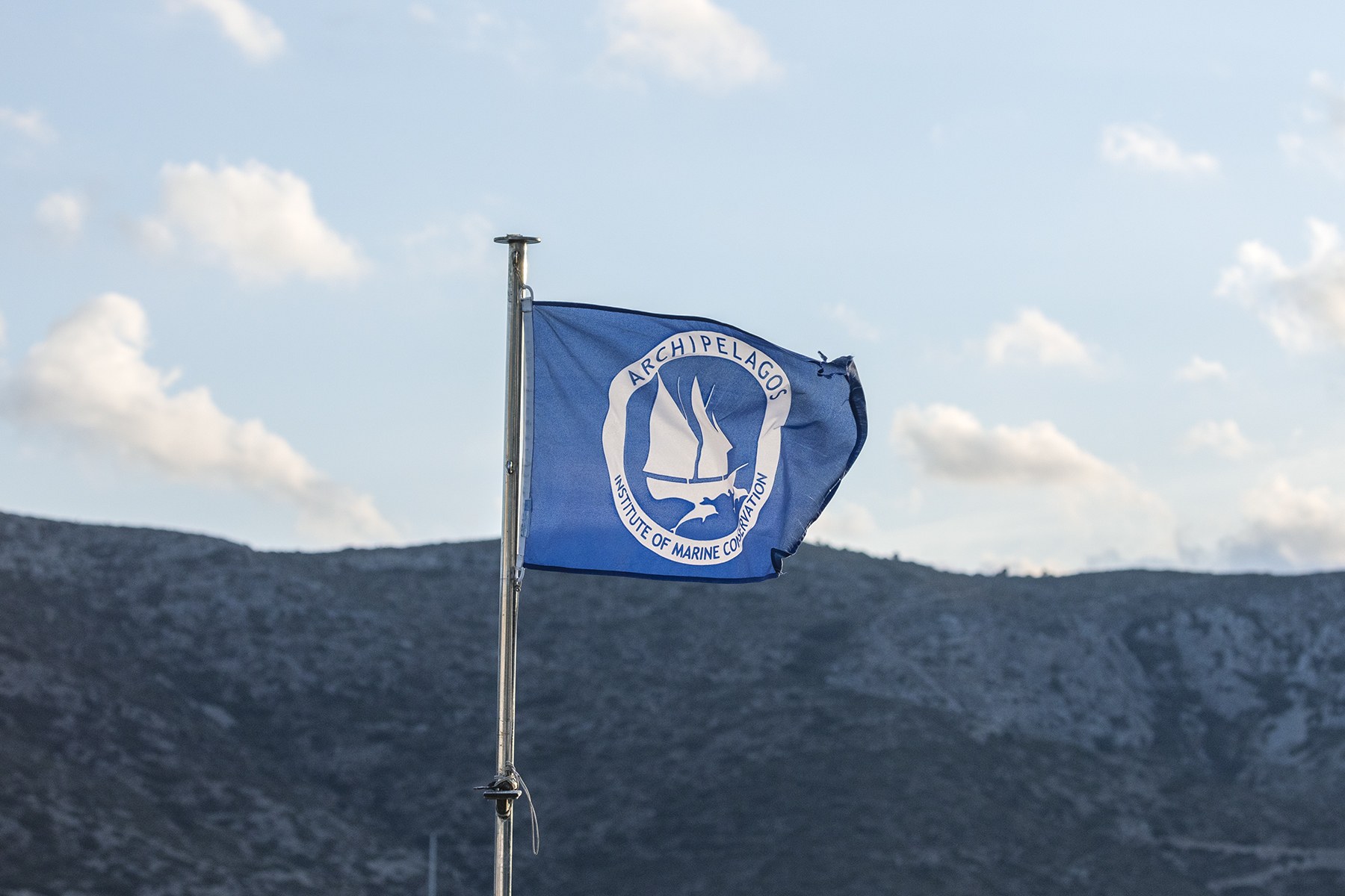 Ινστιτουτο Αρχιπελαγος Margarita Nikitaki copy