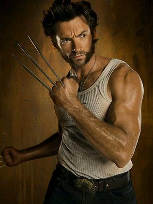 Wolverine