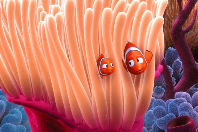 nemo mpampasa