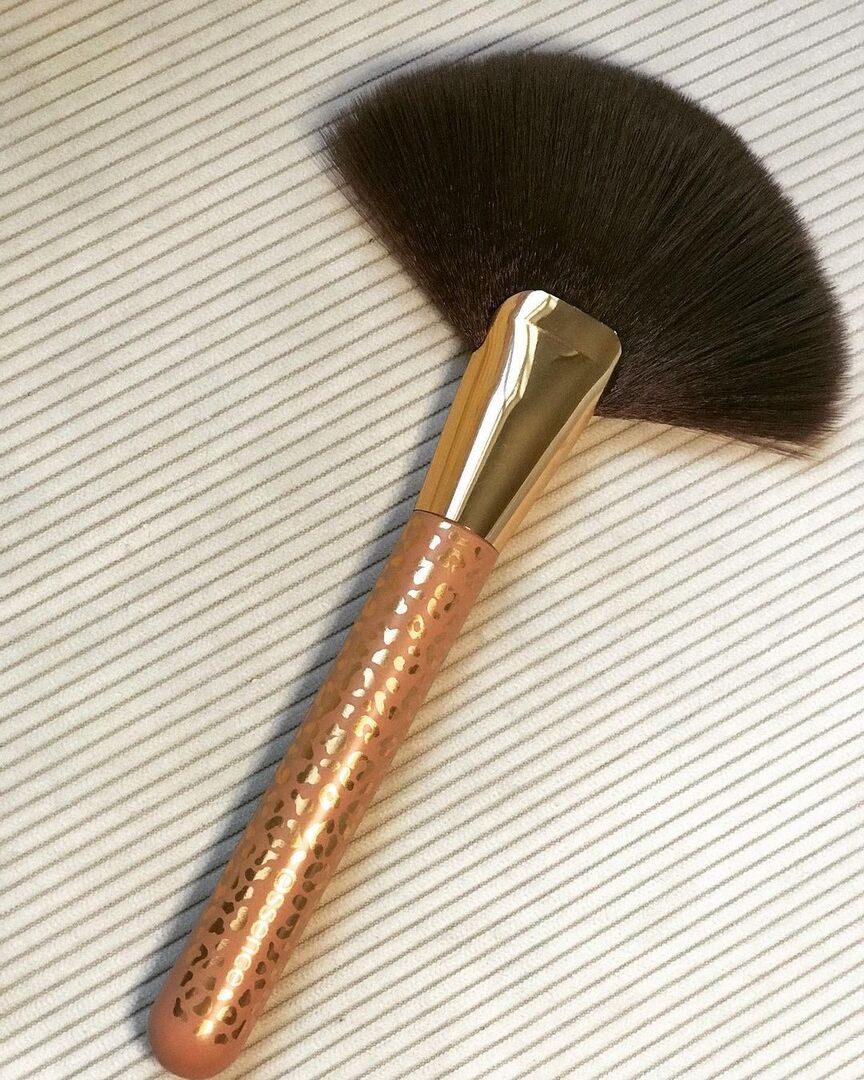 fan brush