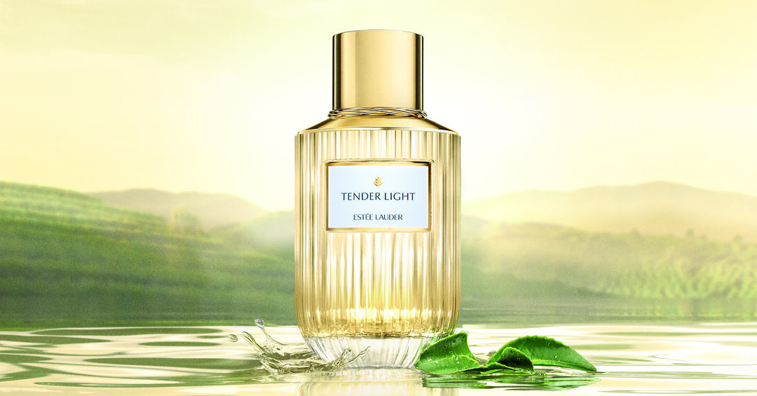Luxury Fragrance Collection Tender Light 