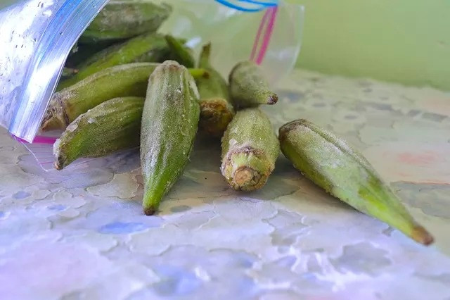 okra3.jpg
