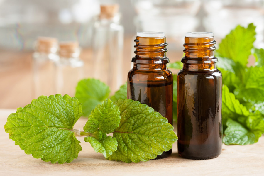 Melissa-lemon-Balm-Essential-Oil
